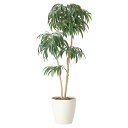 法人様限定 アートクリエイション オフィス家具 フェイクグリーン 人工観葉植物 DXショウナンゴム1.8 2417A500