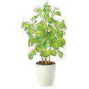 法人様限定 アートクリエイション オフィス家具 フェイクグリーン 人工観葉植物 バウヒニア70 2431A120