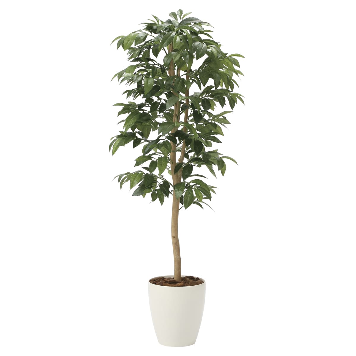 法人様限定 アートクリエイション オフィス家具 フェイクグリーン 人工観葉植物 アルデシア（万両）1.3 2033A200