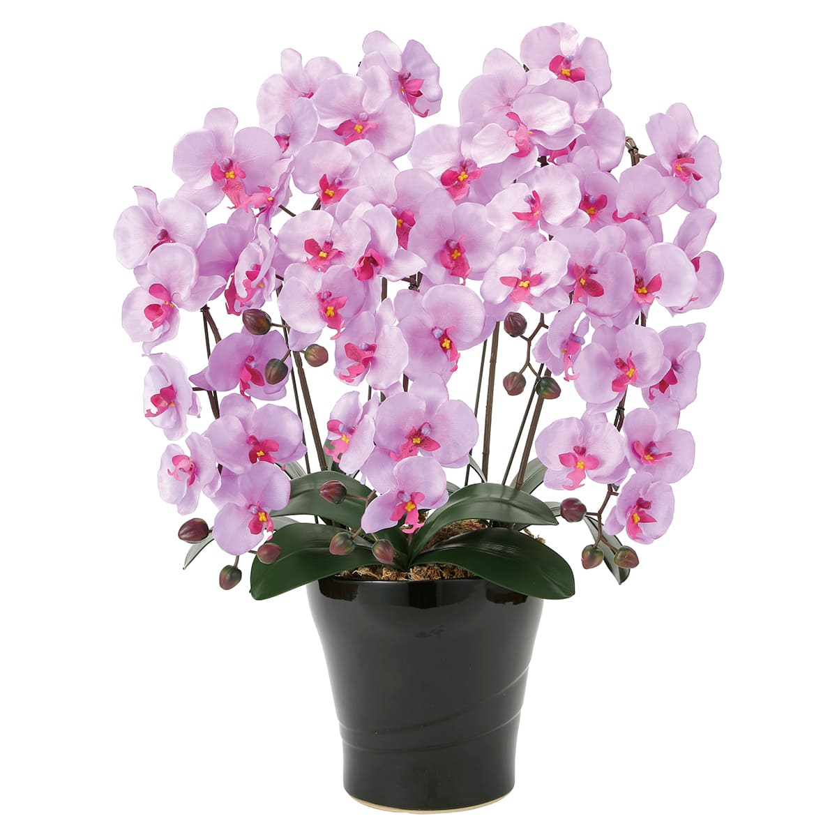 法人様限定 アートクリエイション オフィス家具 造花 アーティフィシャルフラワー クイーン胡蝶蘭5本立L 655A150