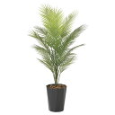 法人様限定 アートクリエイション オフィス家具 フェイクグリーン 人工観葉植物 パームツリー1.3(ポリ製)2238A200
