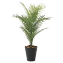 法人様限定 アートクリエイション オフィス家具 フェイクグリーン 人工観葉植物 パームツリー95(ポリ製)2236A135