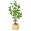 法人様限定 アートクリエイション オフィス家具 フェイクグリーン 人工観葉植物 ウッドボックスポリシャス1.0 2308A220