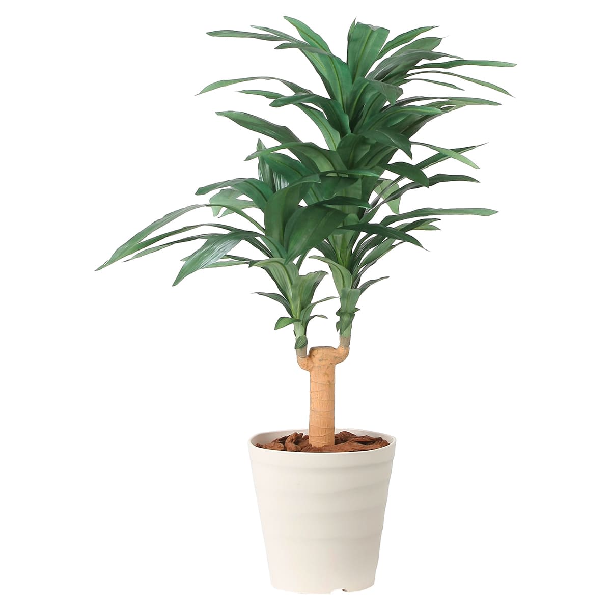 法人様限定 アートクリエイション オフィス家具 フェイクグリーン 人工観葉植物 ドラセナジャネット1.0 2492A150