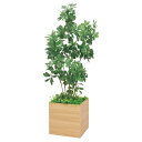法人様限定 ベルク オフィス家具 フェイクグリーン 人工観葉植物 ボックスプランター シェフレラ H1700 GR5009