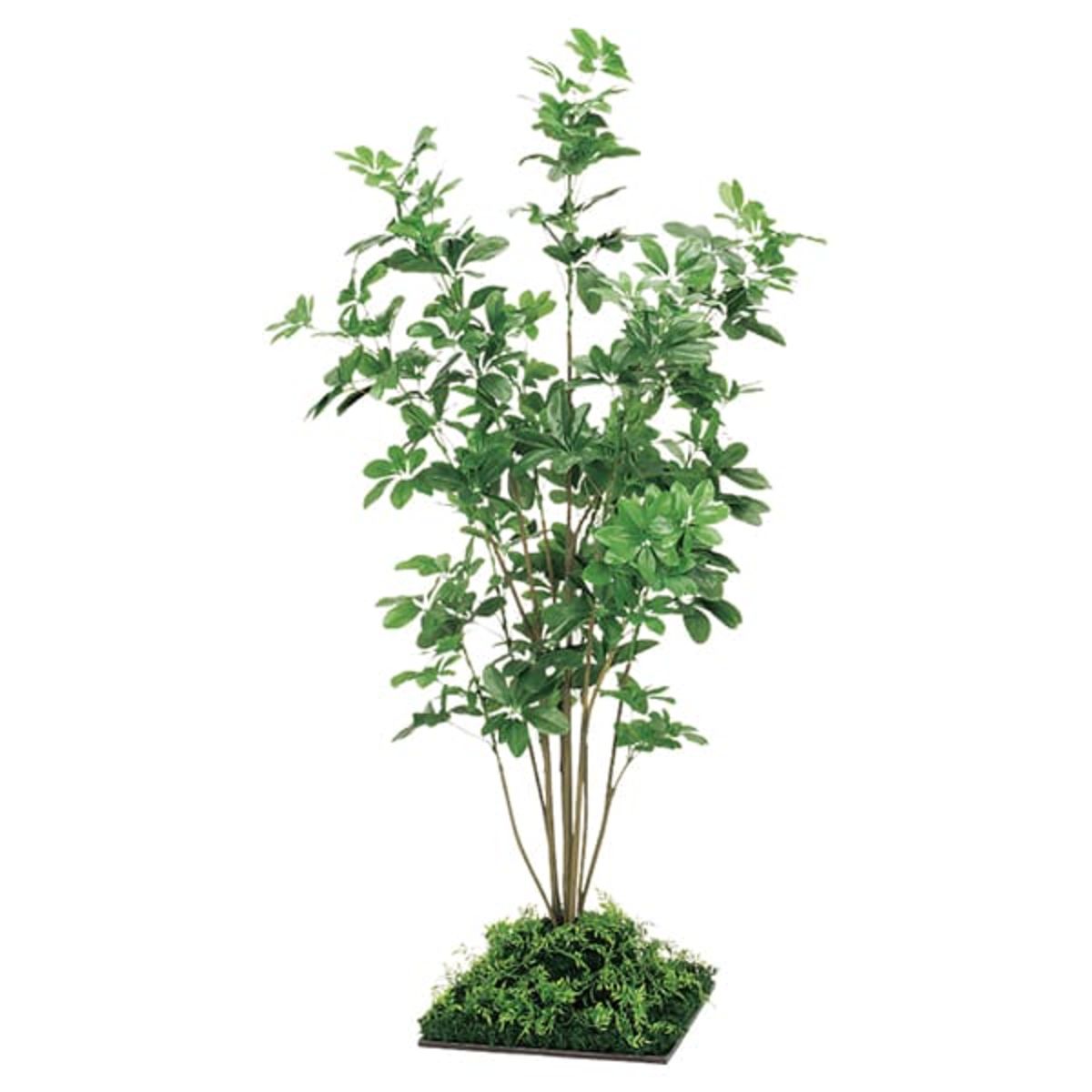 法人様限定 ベルク オフィス家具 フェイクグリーン フロアグリーン 45角 シェフレラ H1800 GR5064