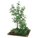 法人様限定 ベルク オフィス家具 フェイクグリーン フロアグリーン 45角4連 シェフレラ H1800 GM5723