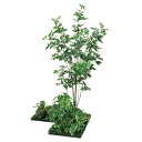 法人様限定 ベルク オフィス家具 フェイクグリーン フロアグリーン 3連 シェフレラ H1800 GM5714