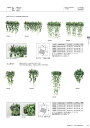 法人様限定 ベルク オフィス家具 フェイクグリーン グリーンポッド ミニポット 壁付けタイプ GR4348 2