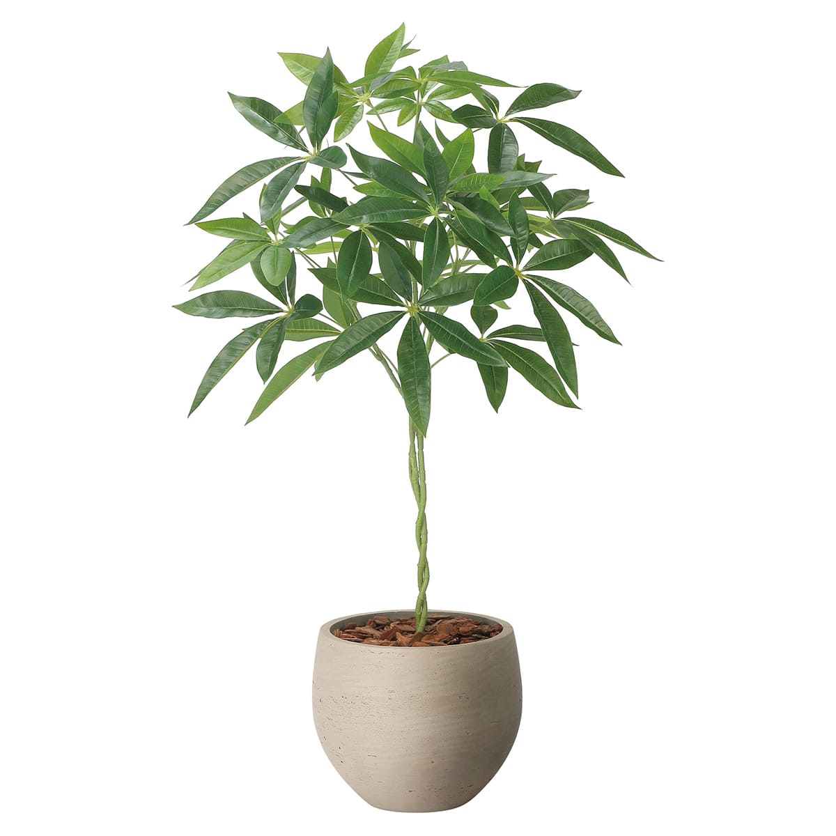 法人様限定 人工観葉植物 フェイクグリーン ナチュラルパキラ90 2408A215 アートクリエイション