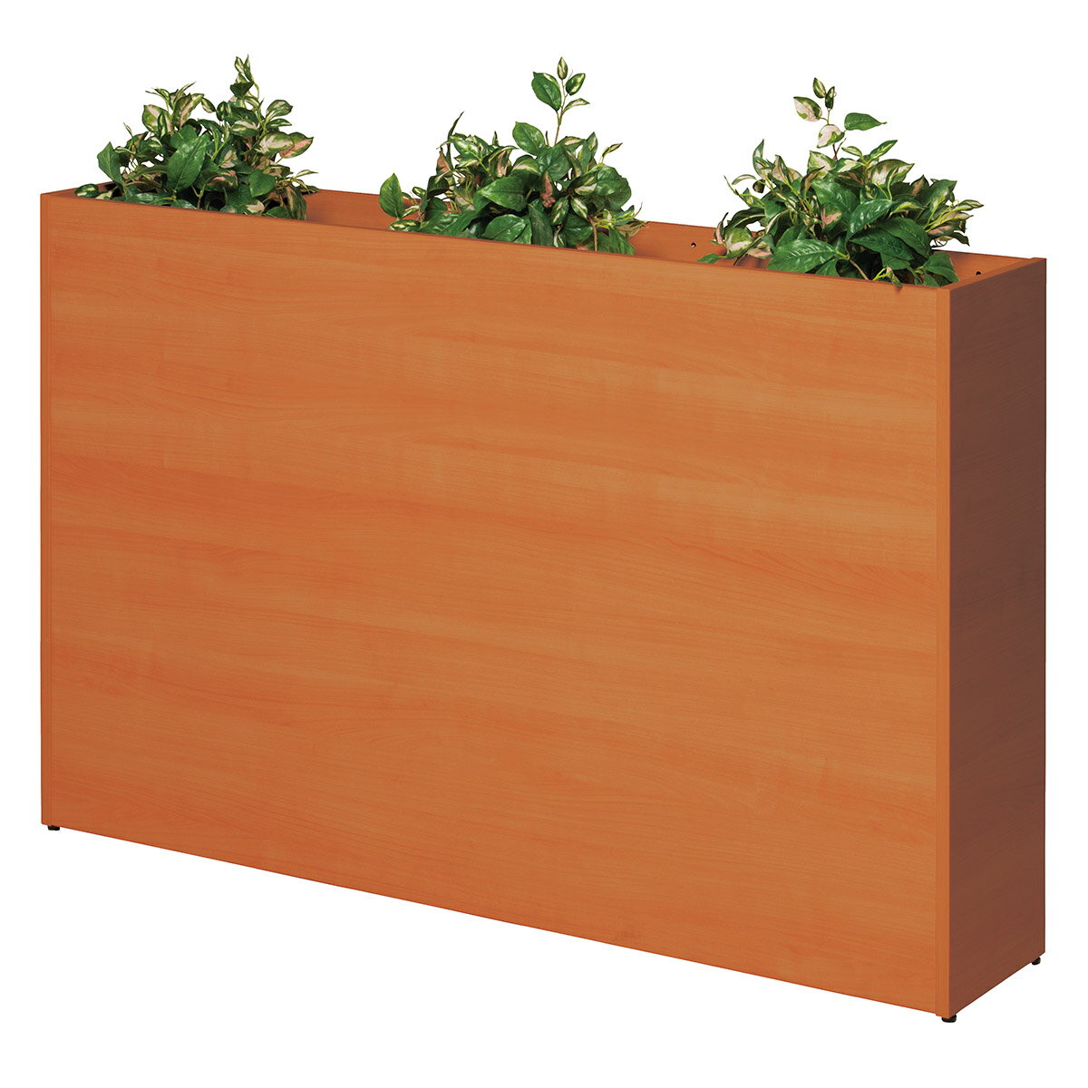 法人様限定 フラワーボックス ASO-PB 弘益