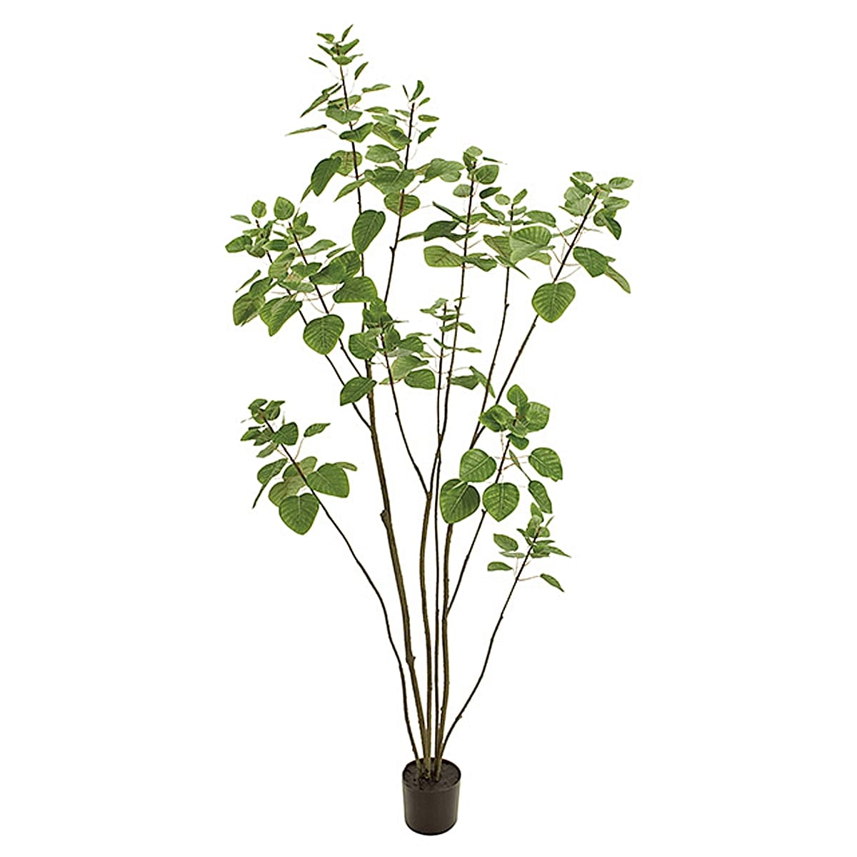 法人様限定 人工観葉植物 フェイクグリーン スモークツリーポット5F 東京堂
