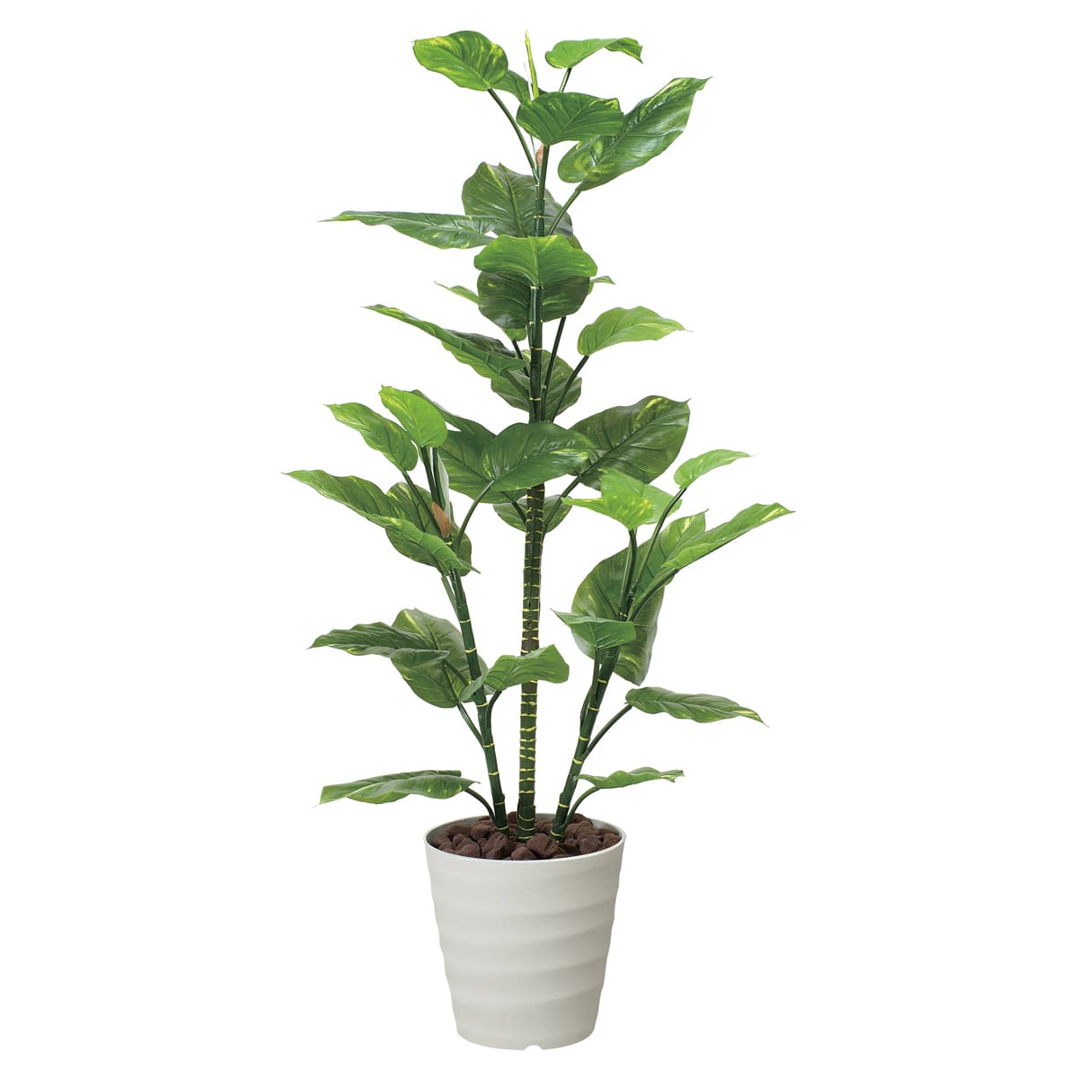 Rakuten - 法人様限定 人工観葉植物 フェイクグリーン フレッシュポトス1.5 362R240 アートクリエイション