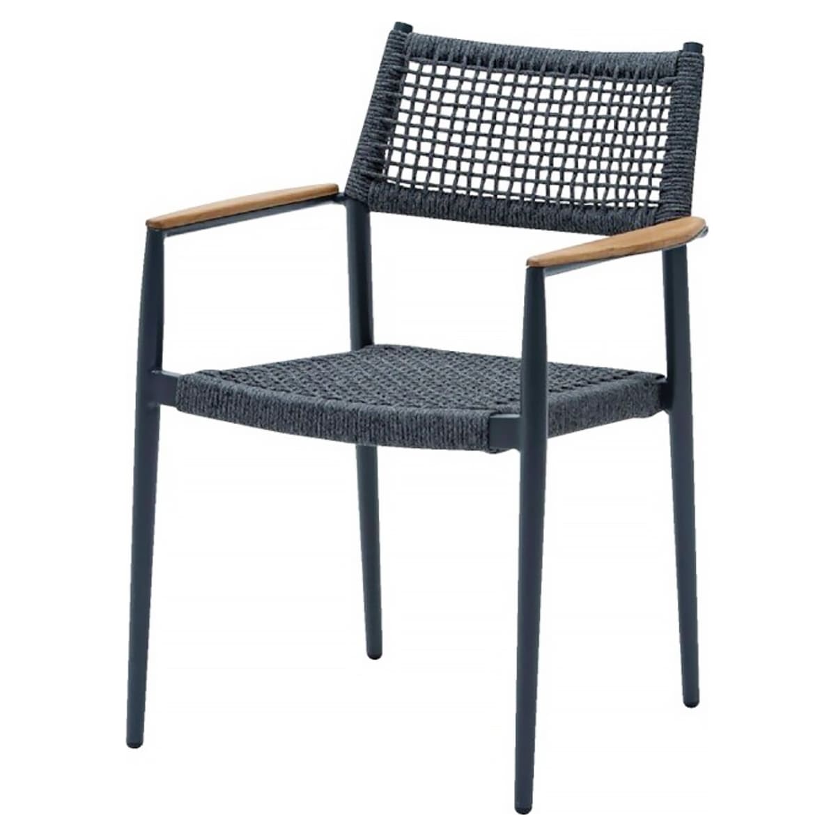 ˡ͸ ˥ ǥȶ ǥ ѥ ꥫ2