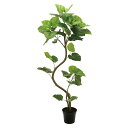 法人様限定 東京堂 オフィス家具 フェイクグリーン 人工観葉植物 ウンベラータ スパイラル 5F