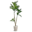 法人様限定 アーバン通商 オフィス家具 フェイクグリーン 人工観葉植物 エバーフレッシュ EVE-120