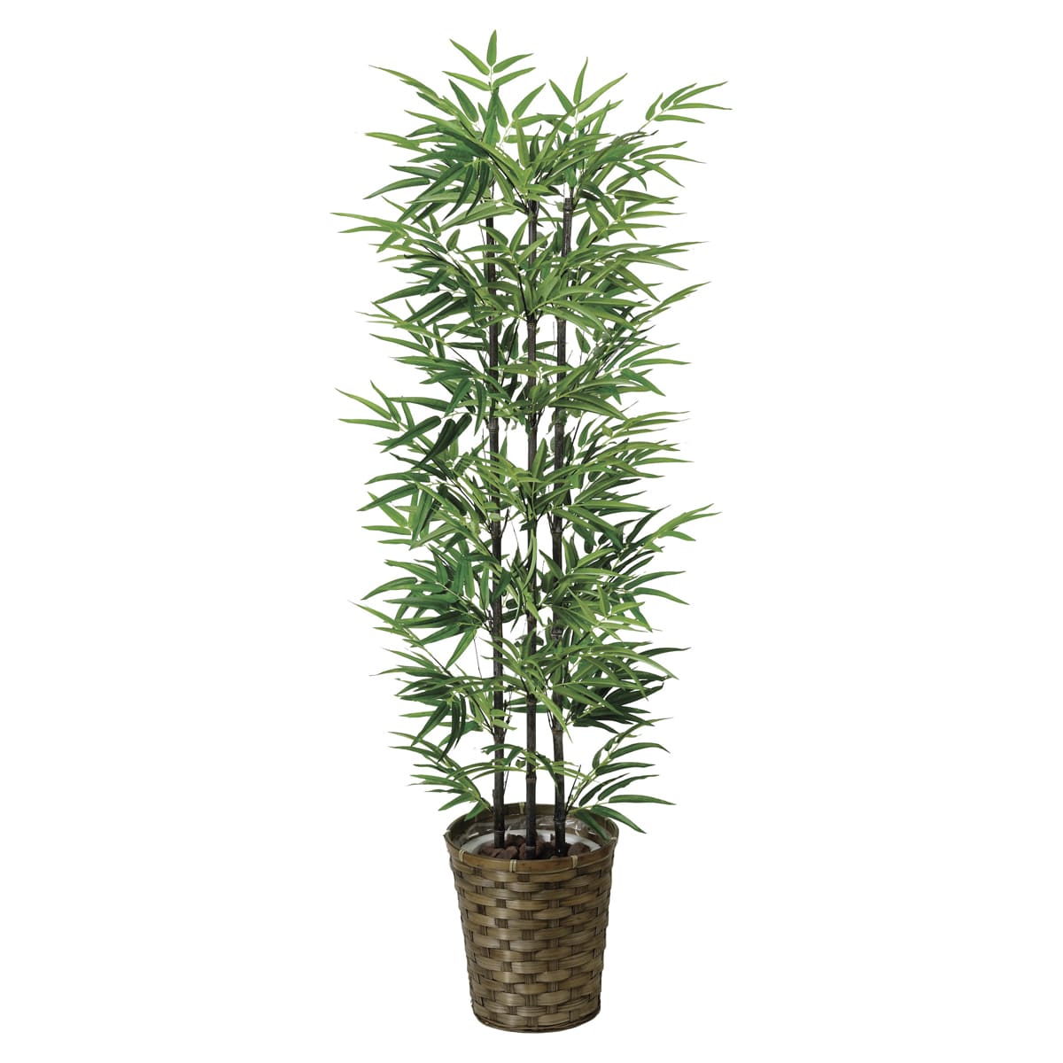 乐天商城 - 法人様限定 人工観葉植物 フェイクグリーン 黒竹1.35（幹:天然黒竹）178A230 アートクリエイション