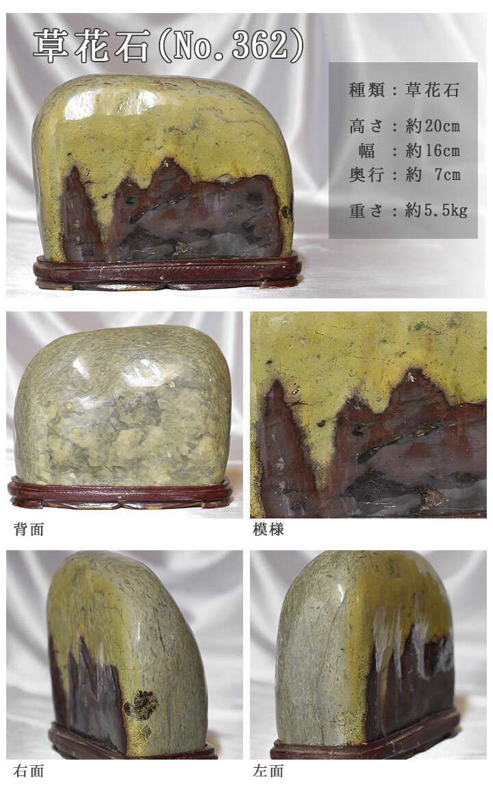 パワーストーン 草花石 天然石 ピクチャーストーン 玄関 飾り物 高級 かっこいい 風水 パワーストーン 金運 ライジング