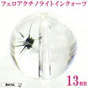 \31日まで!50周年記念祭/ パワーストーン 星入り水晶 バラ売り 天然石 スターインクォーツ 粒売り 丸玉 ハンドメイド パーツ ビーズ アクセサリー 風水...