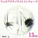 \31日まで!50周年記念祭/ パワーストーン 星入り水晶 バラ売り 天然石 スターインクォーツ 粒売り 丸玉 ハンドメイド パーツ ビーズ アクセサリー 風水...