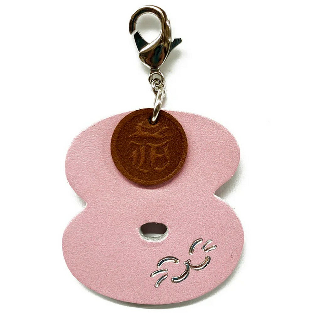 わちふぃーるど 猫のダヤン SDGsにゃんバー引手 8 941567