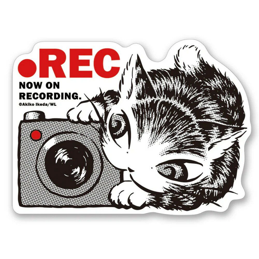 わちふぃーるど 猫のダヤン ステッカー REC＃4 941852