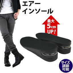 シークレットインソール 5cm身長UP 靴 インソール シークレット 中敷き エアー インソール 靴 secret メンズ レディース 男女 AM-AIRINSOLE [ インソール 身長 アップ 脚長 エアーインソール シークレットシューズ ]