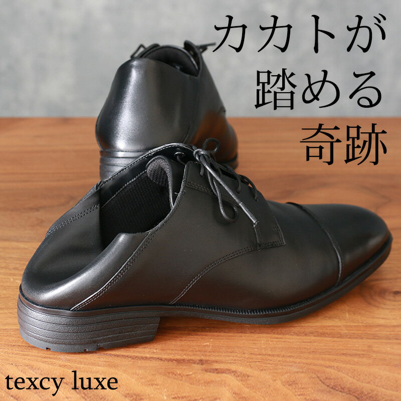 [ かかと 踏める ] アシックス ビジネスシューズ 革靴 テクシーリュクス texcy luxe 本革 メンズ 3E [ asics ビジネ…