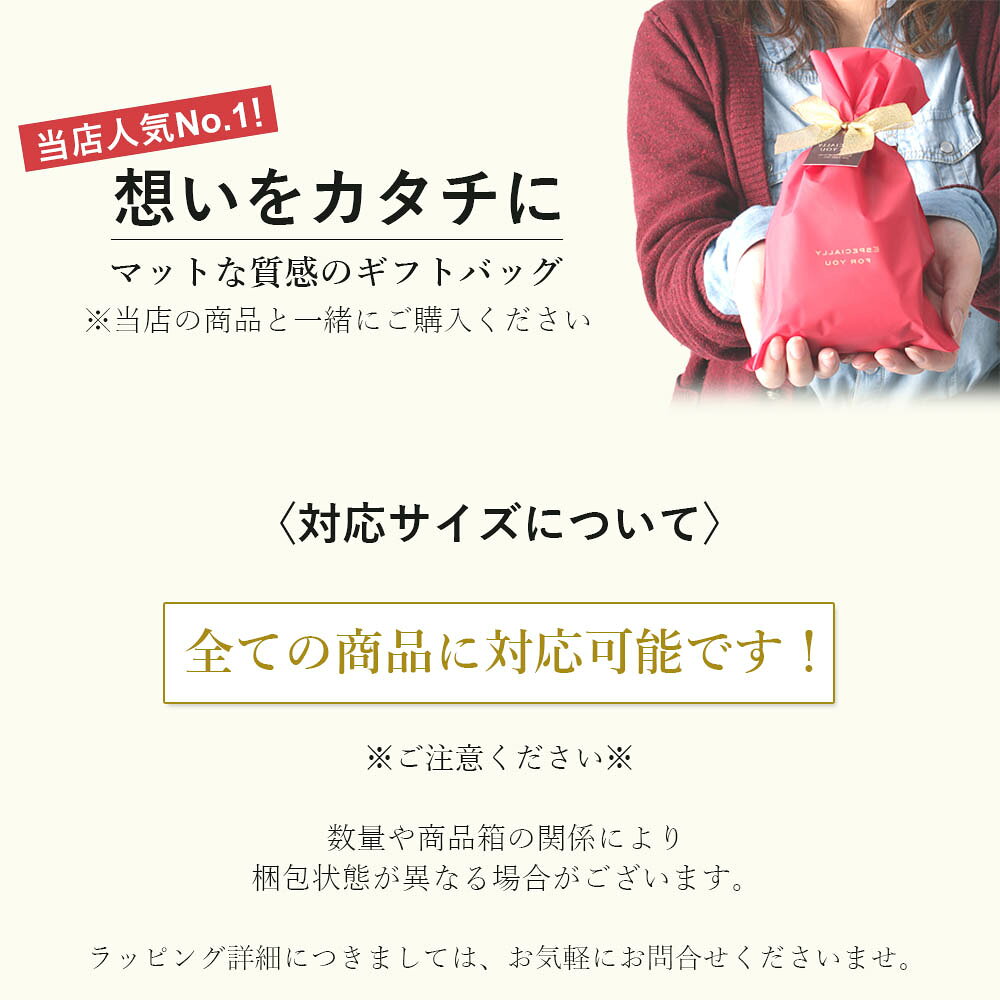 ギフトラッピングサービス 色が選べる マット素材ナイロンバッグ レッド＆ブラウン 贈り物 プレゼント 手渡し 誕生日 お祝い 就職祝い 昇進祝い 入学祝い 結婚式 敬老の日 [M便 1/5] 卒業祝い 2
