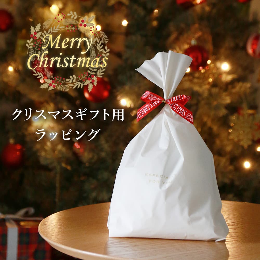 ギフトラッピングサービス Xmas マット素材ナイロンバッグ 贈り物 プレゼント ギフト 手渡し 誕生日 お祝い mgi 卒業祝い