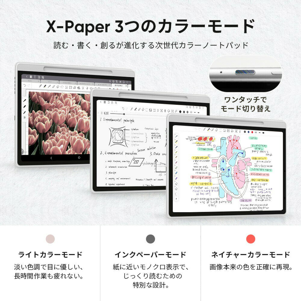 XPPen カラーノートパッド パソコン不要 10.95インチ Android タブレット wi-fiモデル X3 Pro Pencil 2 16384筆圧感知 ペンタブレット 手書き 効率化 メモ 会議 マグネット式ケース付 Magic Note Pad - Image 3