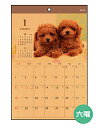 カレンダー 2026 壁掛け B4クラフト イヌ写真