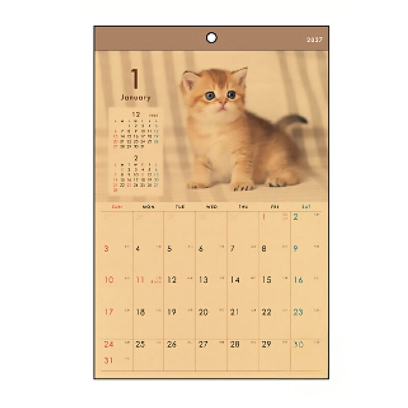 カレンダー2027年版です。 壁掛けタイプです。 予定を書き込めるスペースあり。 家庭やオフィス用に。 【サイズ】B4サイズ（約385×255mm） 【仕様】壁掛け式・12枚構成 【内容】六曜表記あり 【材質】紙 【生産国】中国 【メーカー名】シナップス・ジャパン
