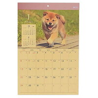 カレンダー 2023 壁掛け B4 クラフト イヌ
