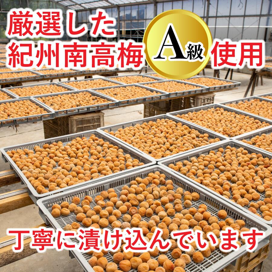 【紀州南高梅】しそ漬梅700g(化粧箱入り)【...の紹介画像3