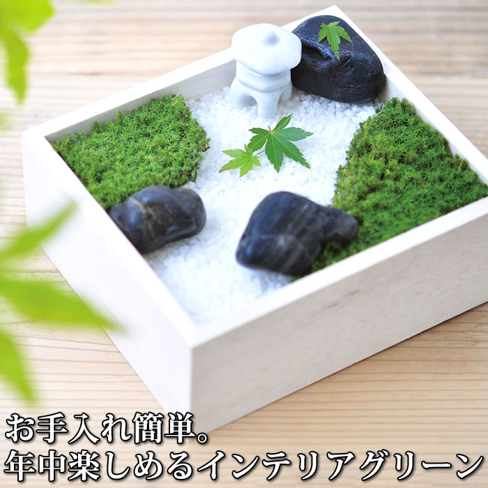 苔 インテリア 「苔盆」 苔庭 苔玉 栽培セット 栽培キット かわいい 観賞セット スナゴケ ガーデニング 観葉植物 苔盆栽 キッチンインテリア 母の日 父の日 誕生日 ギフト プレゼント 癒し