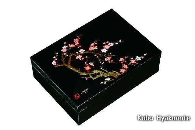 11.0合口文庫 黒 香林(A4判)