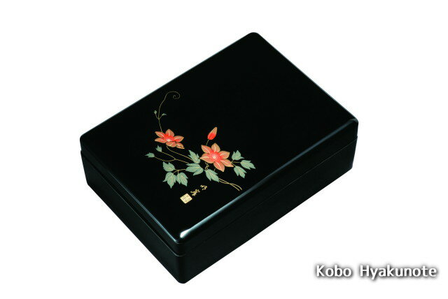 11.0合口文庫 黒 内梨子地鉄仙 盛絵