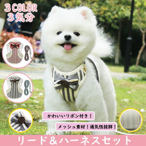 犬ハーネスリードセット おしゃれな犬服一体型 かわいい中型犬小型犬 ペット用品 夏用 リードハーネス犬ベルト 犬猫兼用 胴輪