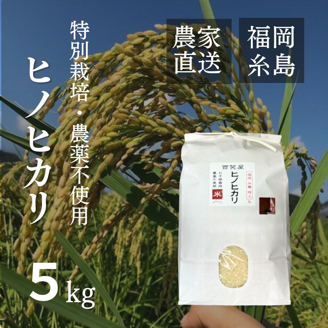 【特別栽培米・農薬不使用】ヒノヒカリ 5kg 福岡県産 特上 糸島市 令和4年度産 無農薬 白米　特別栽培米 栽培期間中 農薬不使用