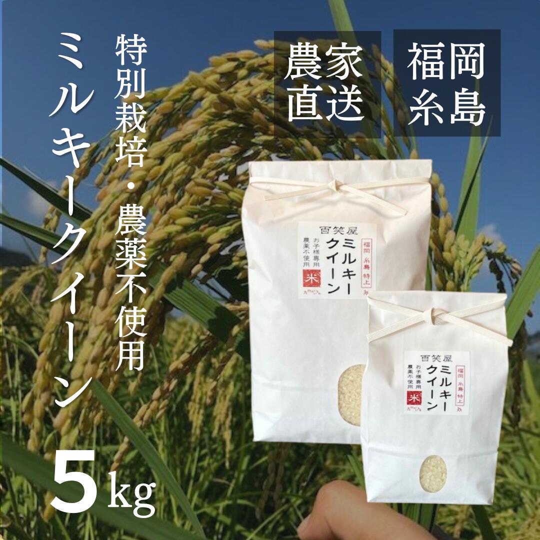 【特別栽培米・農薬不使用】ミルキークイーン 5kg 福岡県産 糸島市 令和4年度産 無農薬 白米　特別栽培米 栽培期間中 農薬不使用