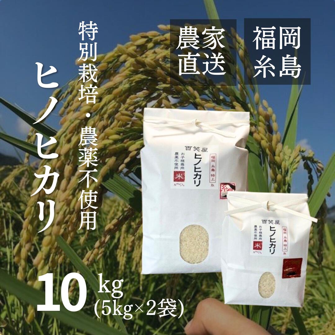 【特別栽培米・農薬不使用】ヒノヒカリ 10kg 福岡県産 特上 糸島市 令和4年度産...