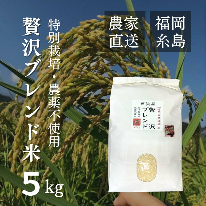 【特別栽培米・農薬不使用】贅沢ブレンド 5kg 福岡県産 ブレンド米 糸島 令和4年度産 無農薬 白米 玄米 特別栽培米 栽培期間中 農薬不使用 残留農薬 不検出 ミルキークイーン ヒノヒカリ