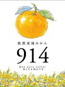 ケセラセラーみやもと「敦賀東浦みかんBEER914(6本セット)」福井県敦賀市から国産クラフトビールの誕生