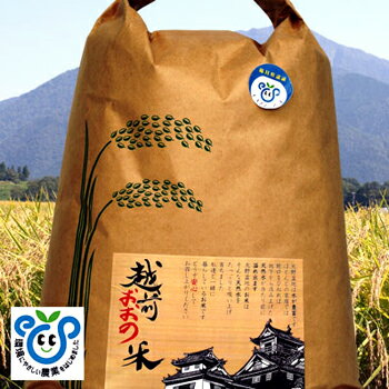 越前おおの農林樂舎:令和7年産 越前おおの米 エコファーマー コシヒカリ精米(20kg)