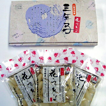 三里浜特産農業協同組合:三年子花らっきょ(80g×3袋入)×2セット