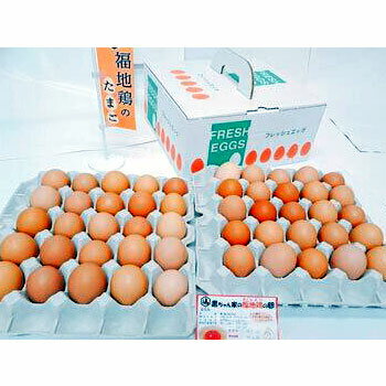 黒川産業：黒ちゃん家｢福地鶏の卵(50個入)｣(夏季はクール冷蔵便)