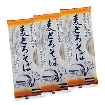 JA福井県経済連「麦とろそば 180g×8×2箱」※季節商品※