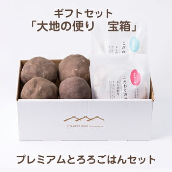 【季節限定/令和5年度産※予約受付開始※】加賀丸いも こしひかり 「大地の便り宝箱 プレミアムとろろごはんセット」北本農場