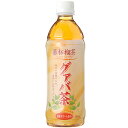 「蕃柘榴茶(グァバ茶)500ml×24本」富